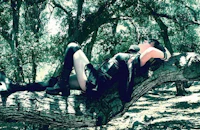 a woman is laying on a tree branch