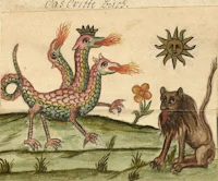 a drawing of a cat and a dragon