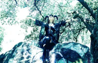 a woman is sitting on a rock in the woods