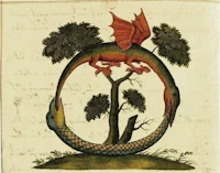 a drawing of a dragon on a tree